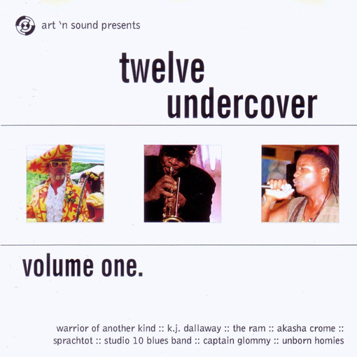 CD - twelve undercover